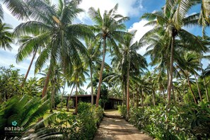 Área da propriedade