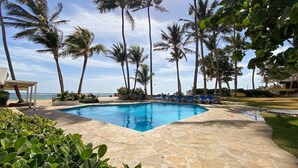 A swimming pool surrounded by palm trees and lounge chairs, with a view of the ocean. - Oceanfront Condo, King Bed, Pool | Unit 110 (Cabarete)