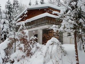 A wooden cabin with a sloped roof, surrounded by snow-covered trees and a stack of firewood. - GRAND CHALET 400m FROM THE FOOT OF THE SLOPES LABRESSE-HOHNECK (La Bresse)