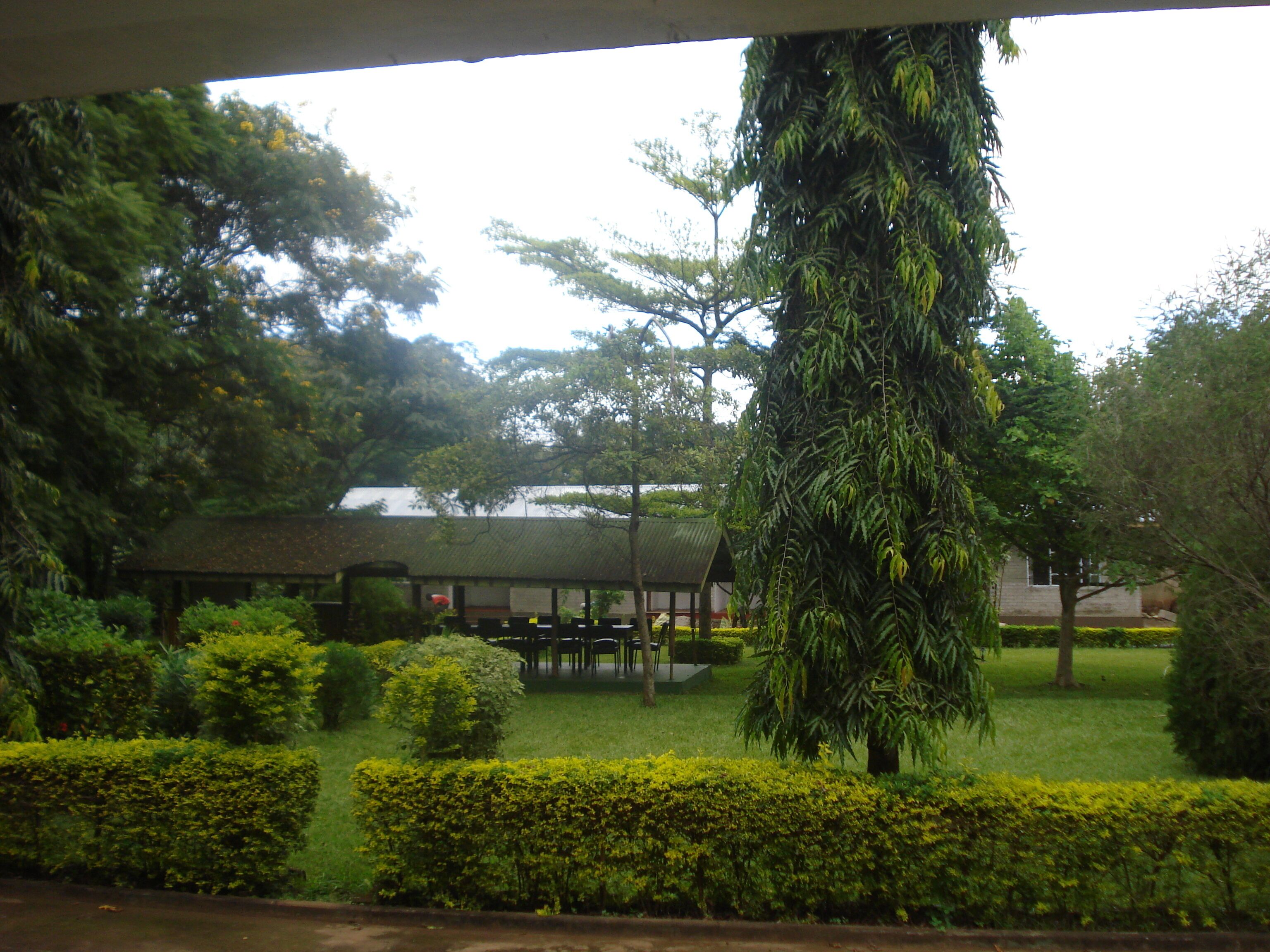 Área da propriedade