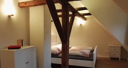 the old. house - House with two apartments