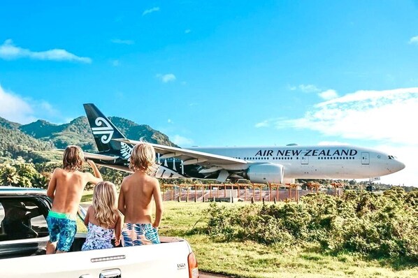 A large Air New Zealand airplane parked on a grassy area with mountains in the background.