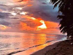 Playa en los alrededores, camastros y toallas de playa 