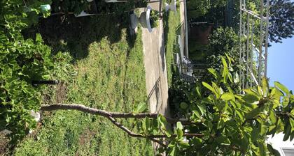 Mia Patria Apartment