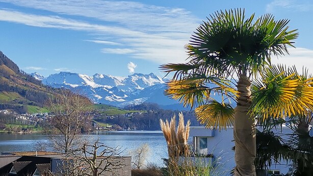Vista de un lago con montañas al fondo, un edificio moderno de techo plano y una palmera en primer plano.