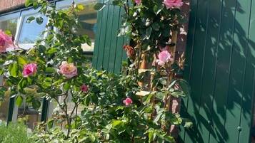 Details aan de buitenkant