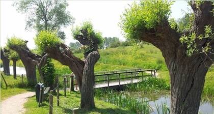 Schöne Villa in einer ruhigen und grünen Umgebung, 10 Minuten vom Meer entfernt