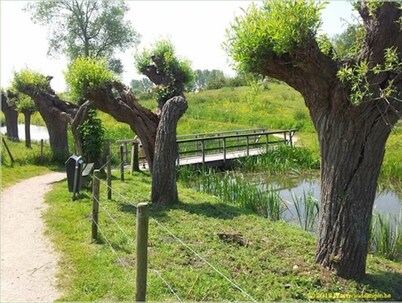 Nice villa in a calm and green environment, 10 min from the sea