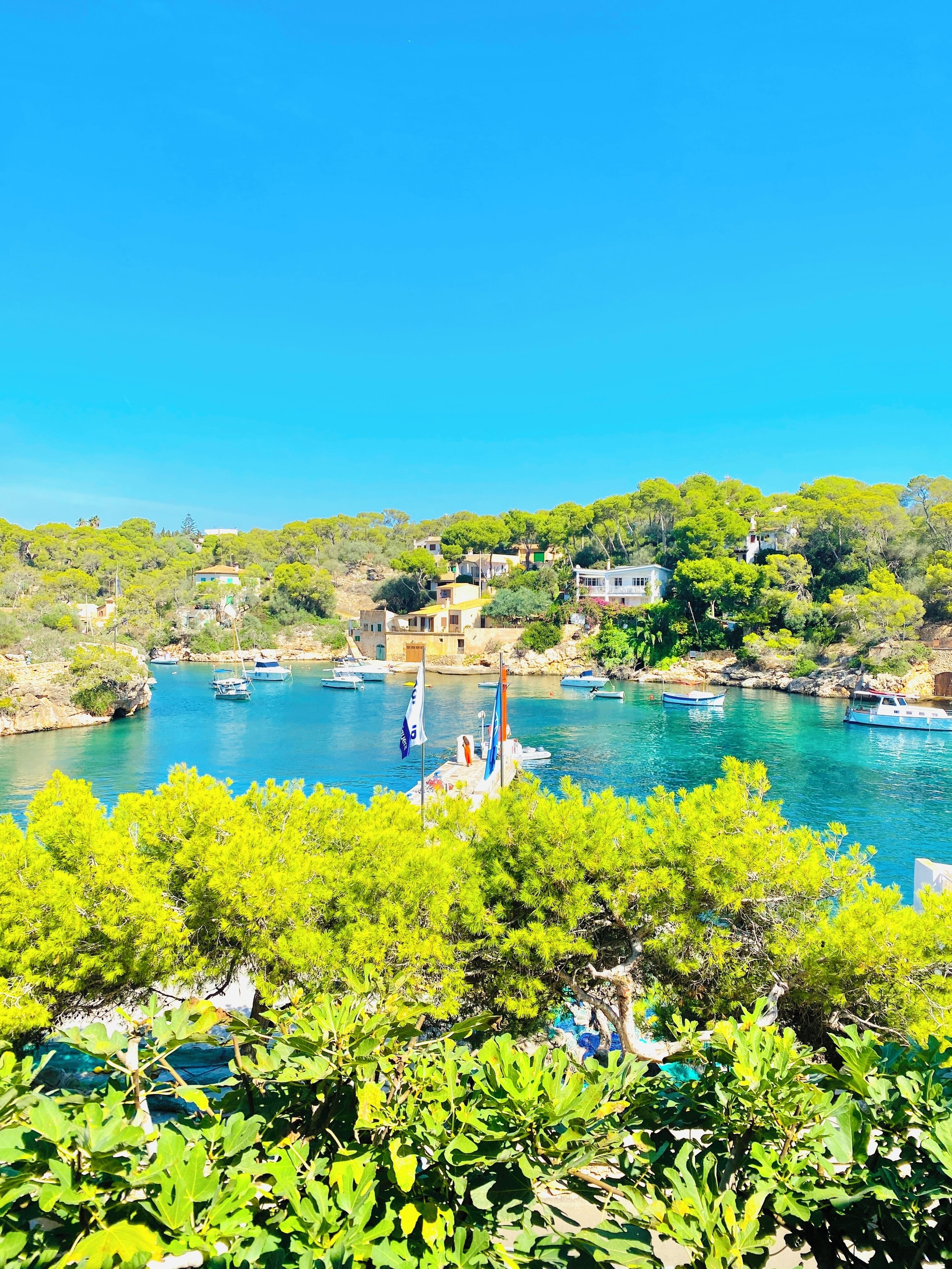 Ferienhaus Mallorca Casa Adriano