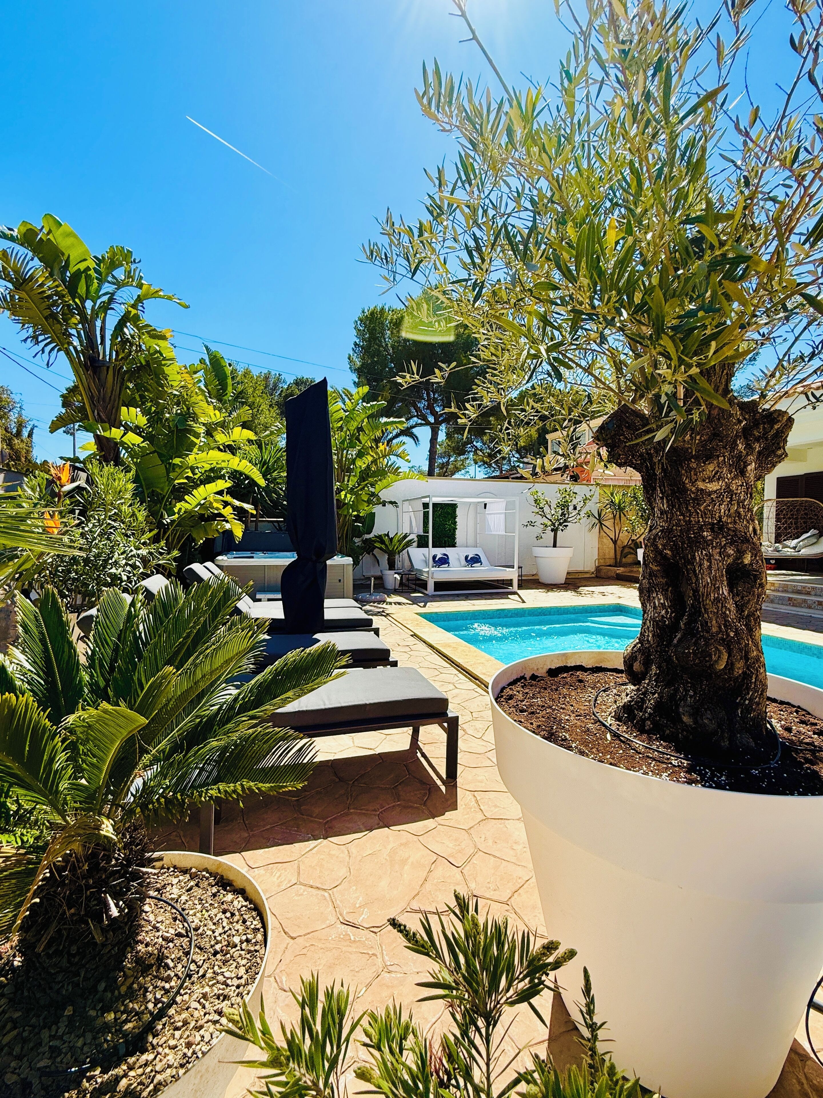 Gartenansicht und Poolbereich