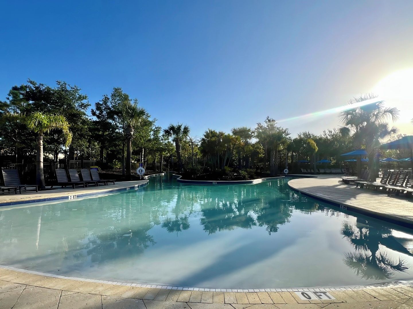 A clear swimming pool surrounded by lounge chairs and palm trees.