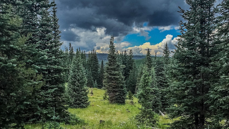 Arrowhead Mountain Lodge