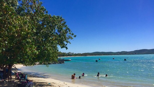 A beach with clear turquoise water, people swimming, and a tree providing shade. - MTB  & Beach House in Cabo Rojo (boqueron)