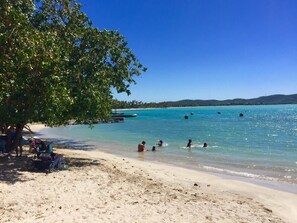 A beach with clear turquoise water, people swimming, and a tree providing shade. - MTB  & Beach House in Cabo Rojo (boqueron)