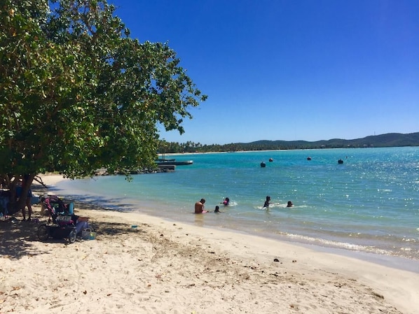 Una playa cerca