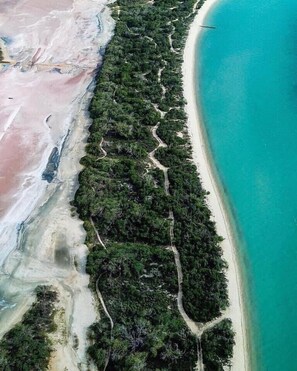 Playa en los alrededores 