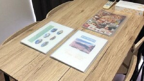 A wooden table with brochures, a remote control, and a mobile phone. - Ever Garden (Miyoshi)