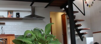 Casa Dinis - Portobelo