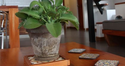 Casa Dinis - Portobelo