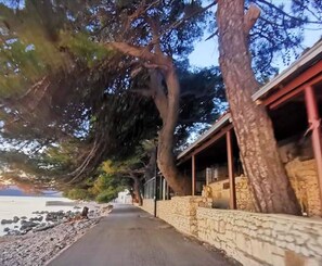 A coastal road lined with trees and a stone wall. - Apartments Clementina Sunrise - Two-Bedroom Apartment with Terrace and Sea View (Orebic)