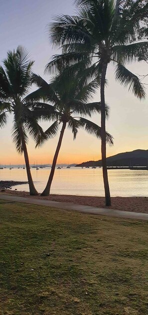 Beach nearby, beach towels - Coastal Vista - The Heart of Airlie Beach! (Airlie Beach)