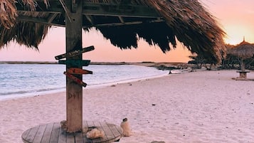 Tæt på stranden, liggestole, badehåndklæder