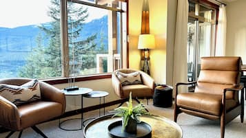 Smart TV, fireplace, DVD player, books