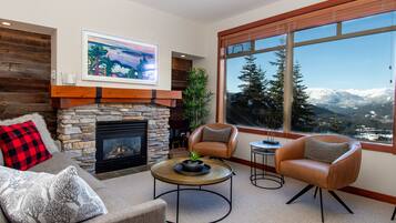 Smart TV, fireplace, DVD player, books