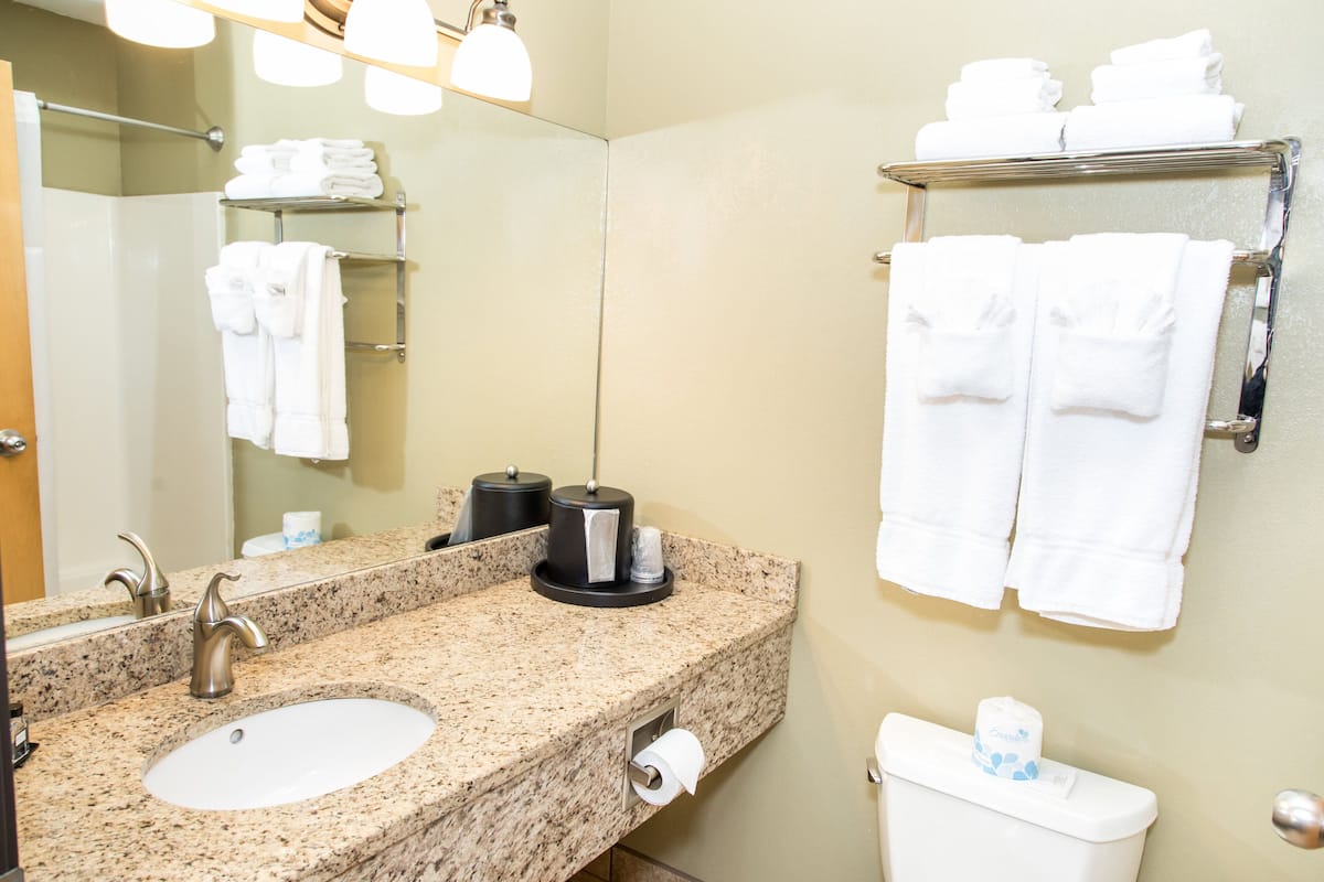 shower, free toiletries, hair dryer, towels