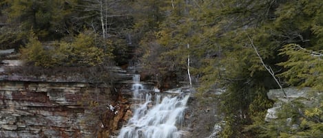 A waterfall cascading down a rocky cliff surrounded by trees.