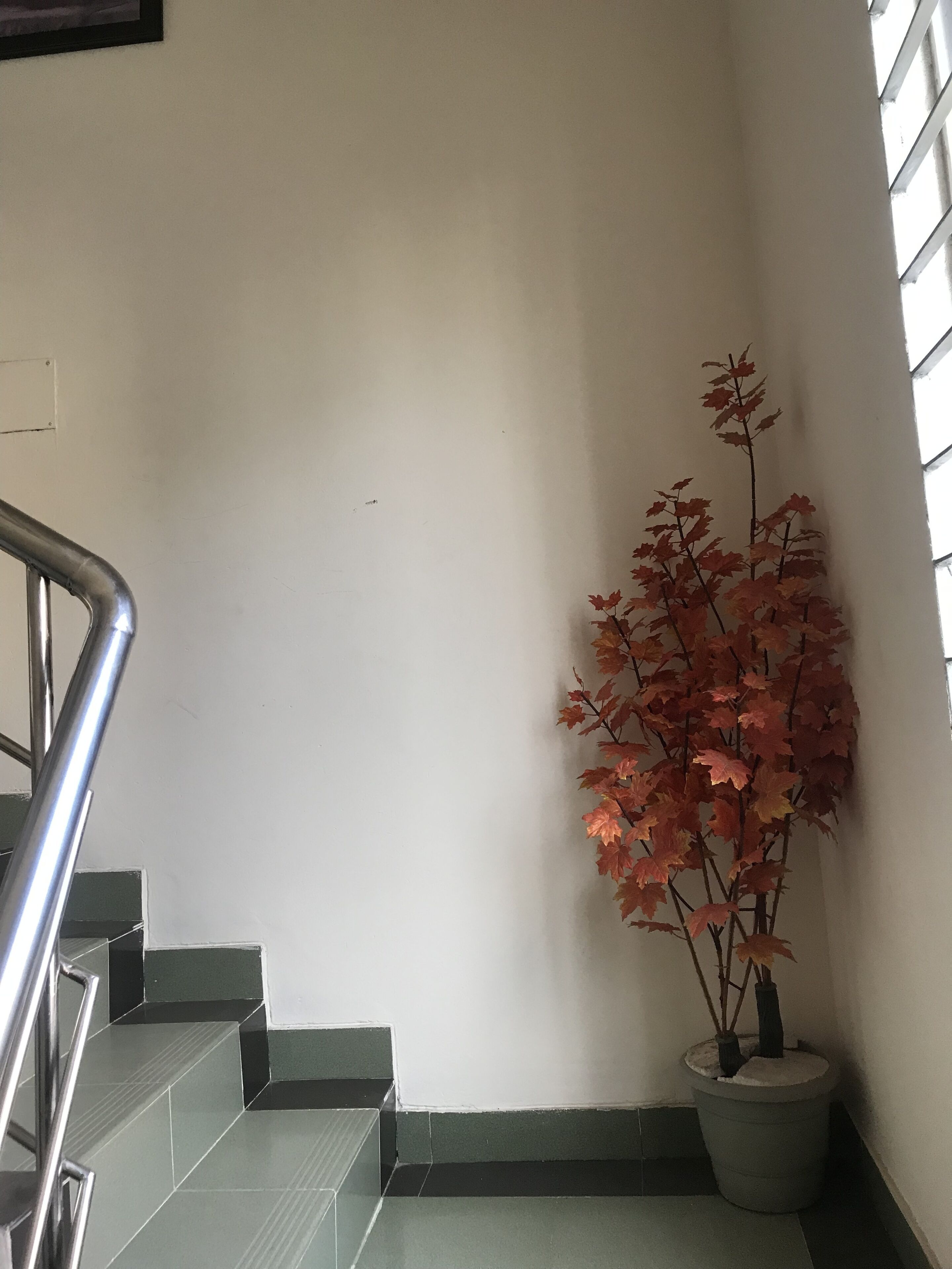 Una escalera con barandilla metálica y una maceta con hojas rojas.