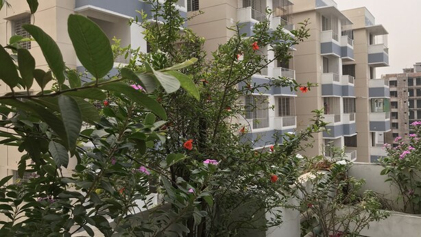 A multi-story residential building with balconies and a garden area with various plants and flowers.