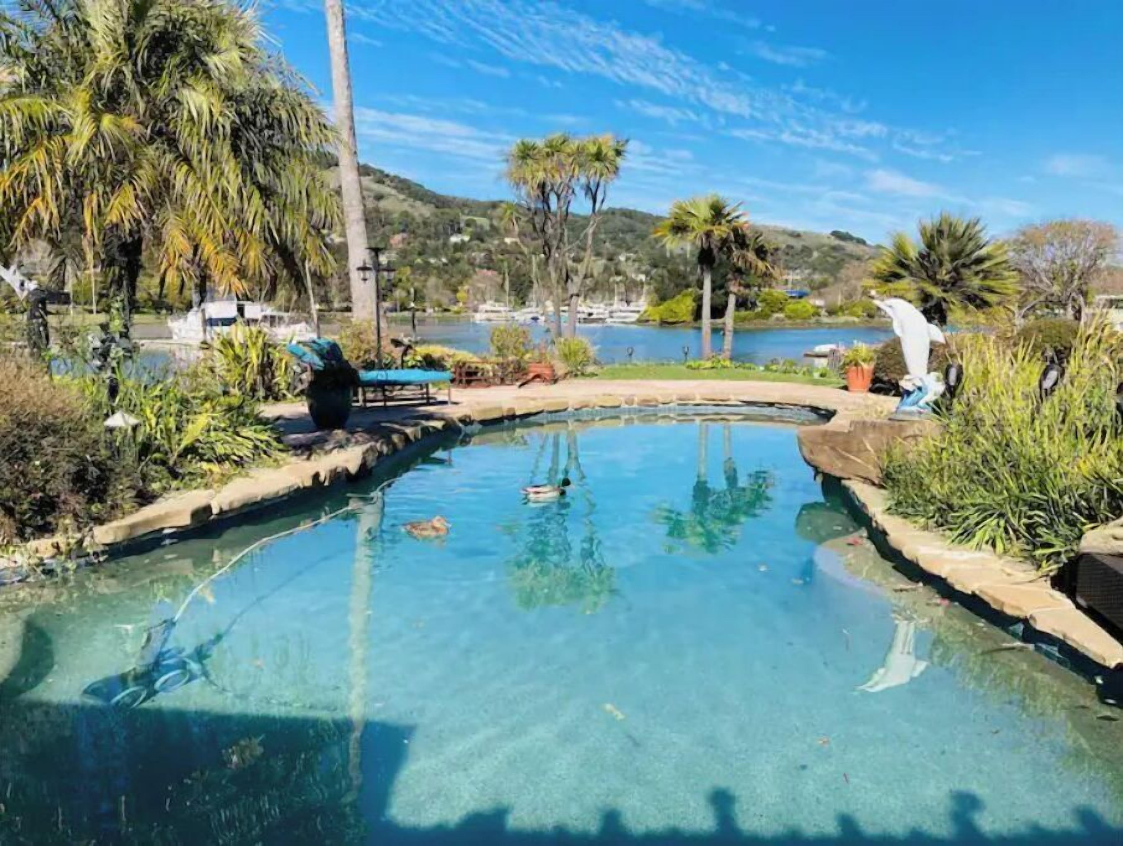 Piscine extérieure