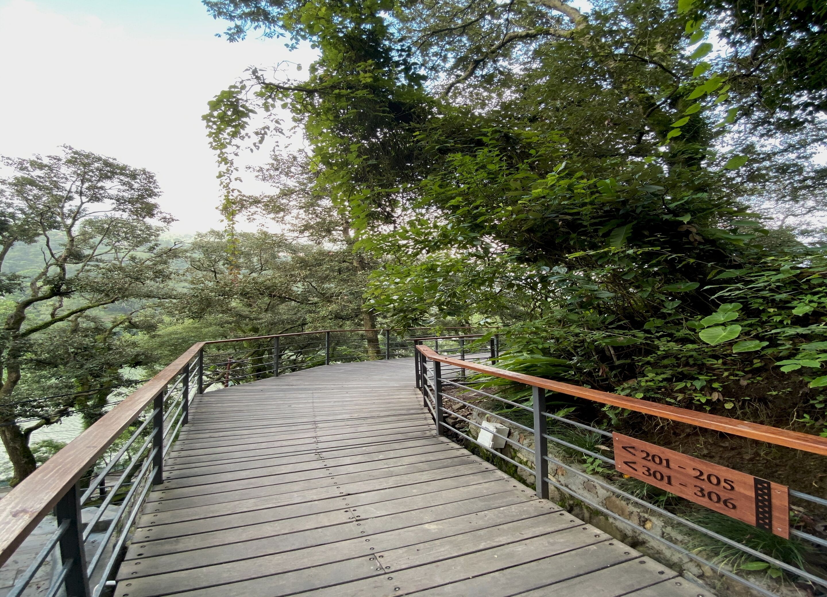 A wooden bridge with metal railings, surrounded by dense greenery and trees.