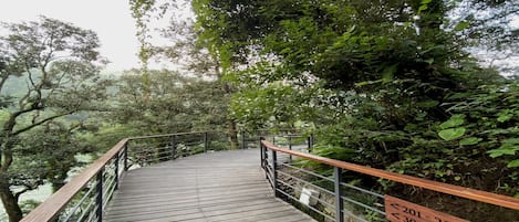 A wooden bridge with metal railings, surrounded by dense greenery and trees.