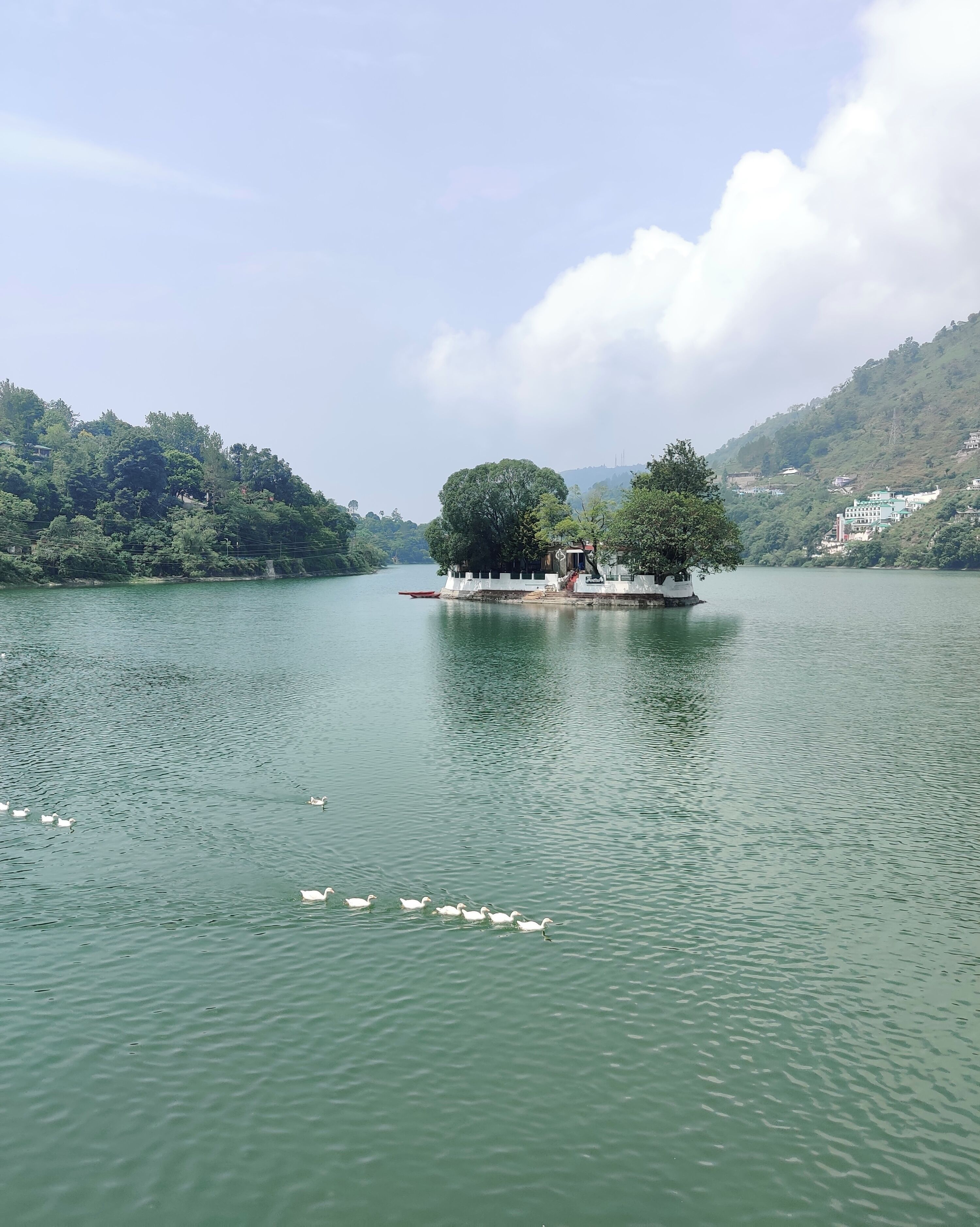 A calm lake with a small island featuring a gazebo and a large tree.