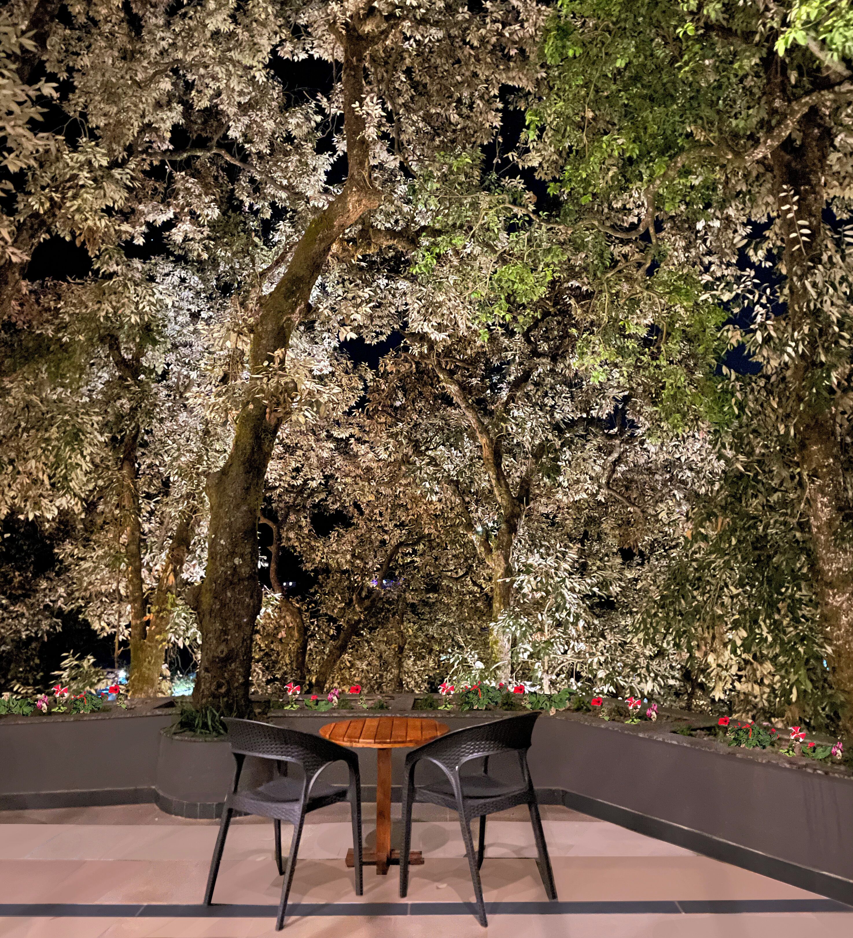 An outdoor seating area with a table and chairs, surrounded by trees and flowers.