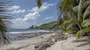 A beach with a rocky shoreline, palm trees, and a view of the ocean. - Domaine Desaubin Luxury Villas (Mahé Island)