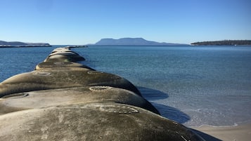 Vlak bij het strand