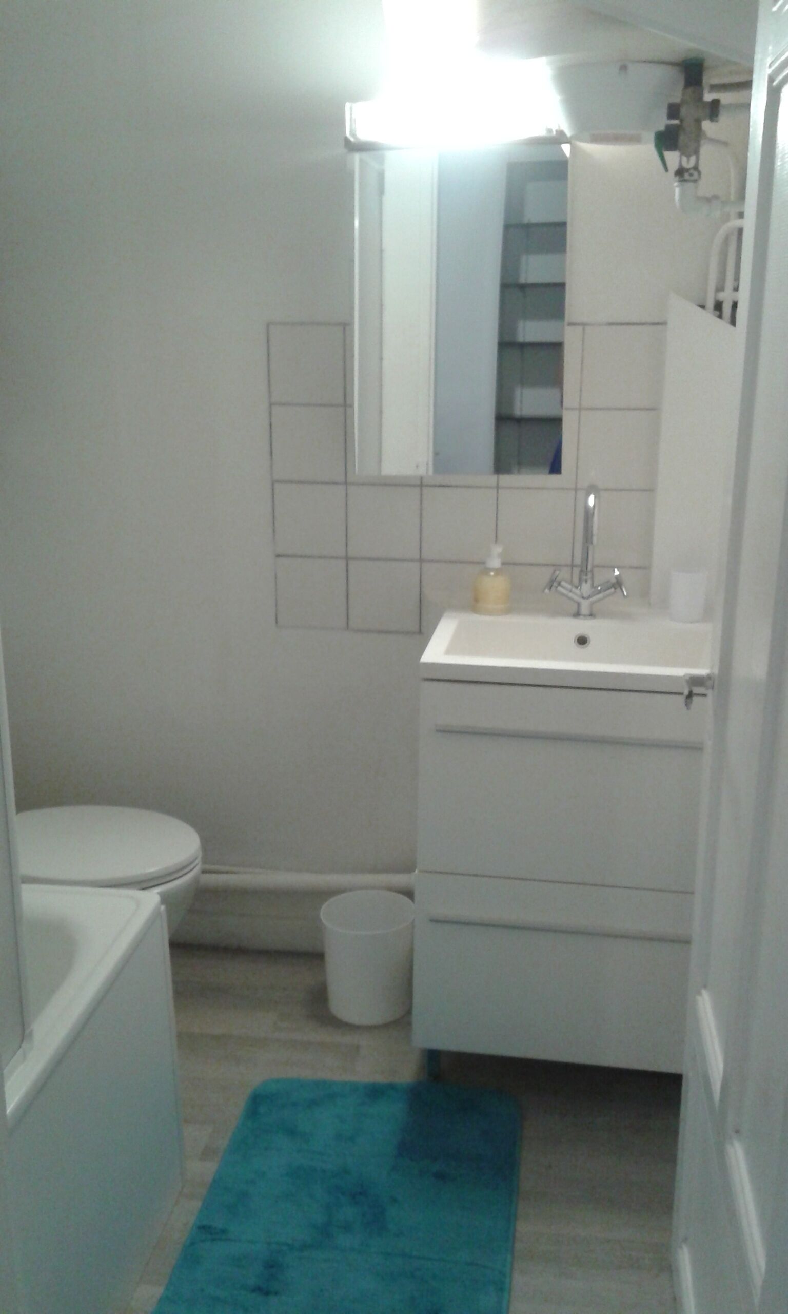 Combined shower/bathtub, hair dryer, towels, toilet paper