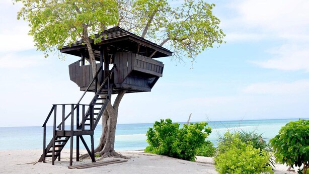 A treehouse with a wooden staircase leading up to it, situated on a sandy beach with a view of the ocean. - Palompon Traveler's Lodge (Palompon)
