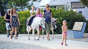 Un grupo de personas caminando con caballos por un sendero pavimentado, un remolque blanco y follaje al fondo.