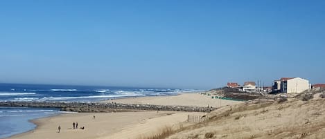 Playa en los alrededores