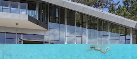 Outdoor pool, sun loungers