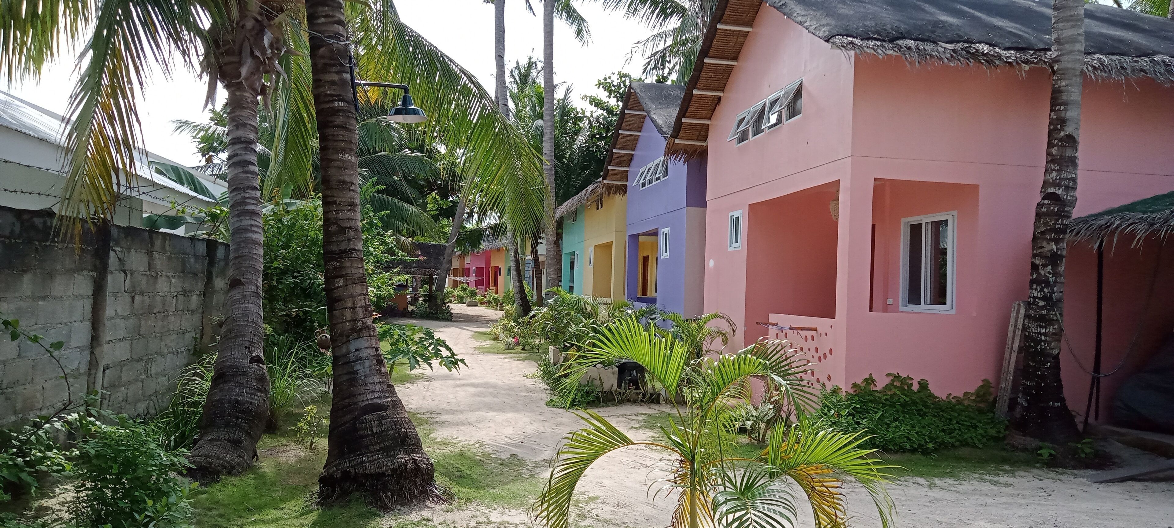 A pathway leading to colorful houses with thatched roofs, surrounded by palm trees and greenery.