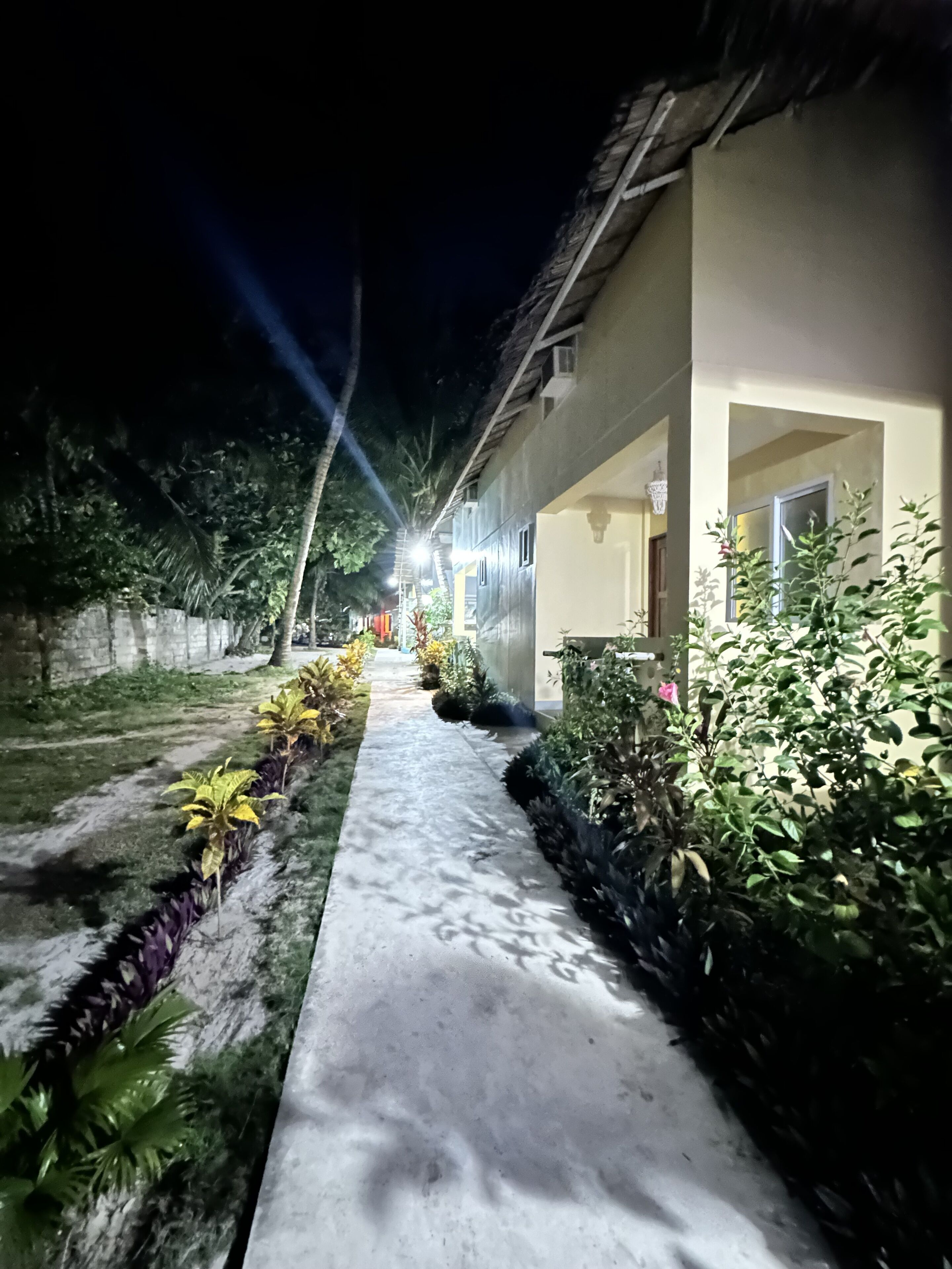 A pathway leading to a building with a thatched roof, surrounded by well-maintained greenery and a clear night sky.