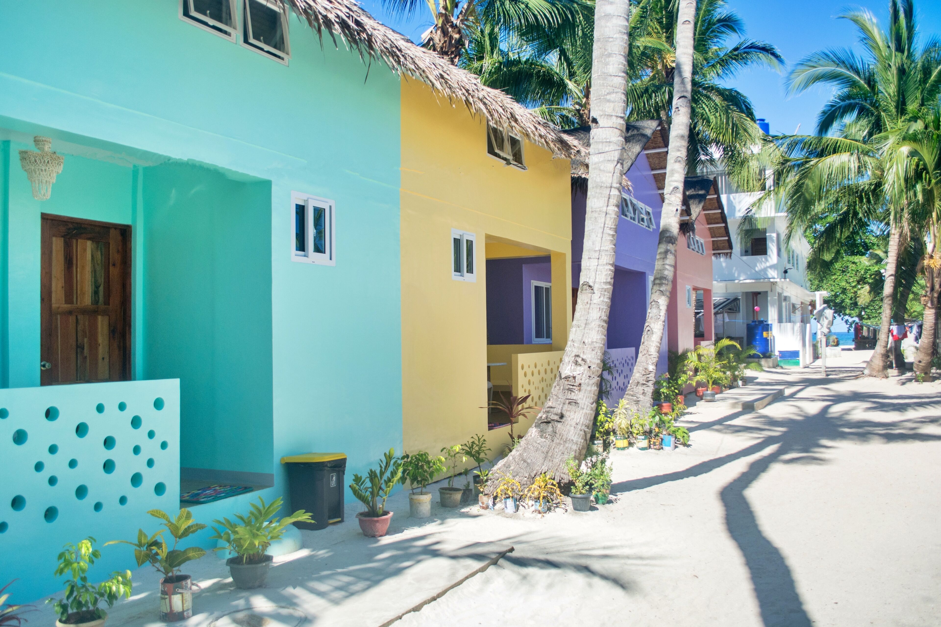 A row of colorful houses with a palm tree in the foreground.