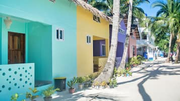A row of colorful houses with a palm tree in the foreground.