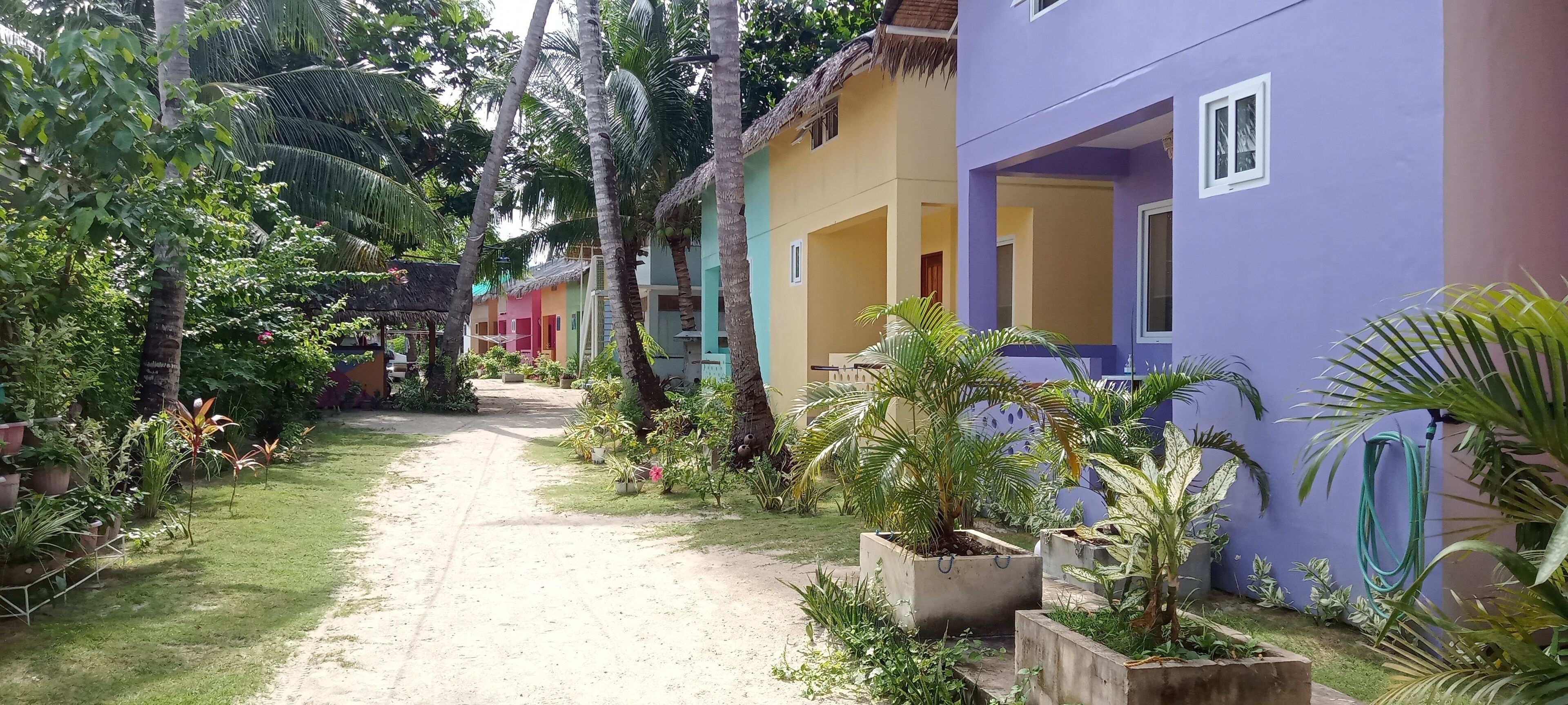 Un sendero conduce a edificios coloridos con tejados de paja, rodeado de abundante vegetación y plantas en macetas.