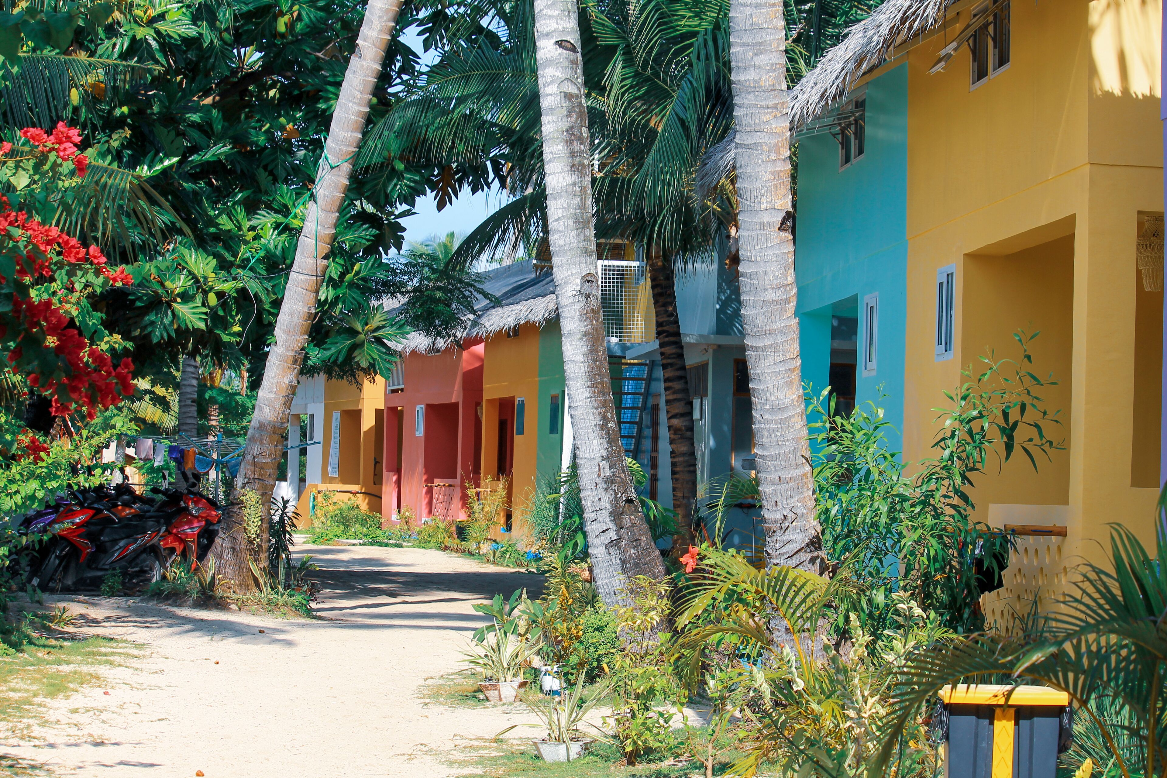 A row of colorful buildings with a dirt path leading to them, surrounded by lush tropical vegetation.